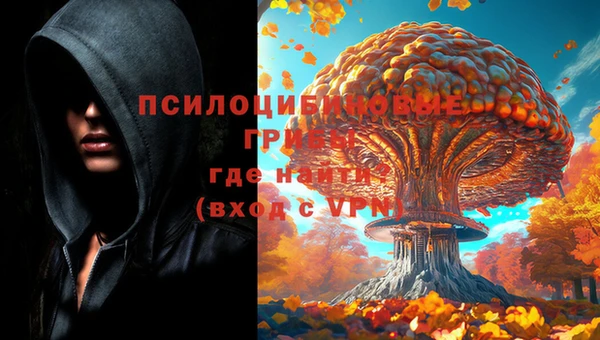 ПСИЛОЦИБИНОВЫЕ ГРИБЫ Кукмор